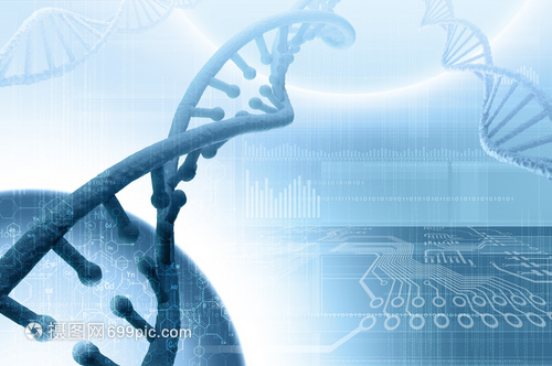 DNA分子高科技DNA分子的生物化學背景