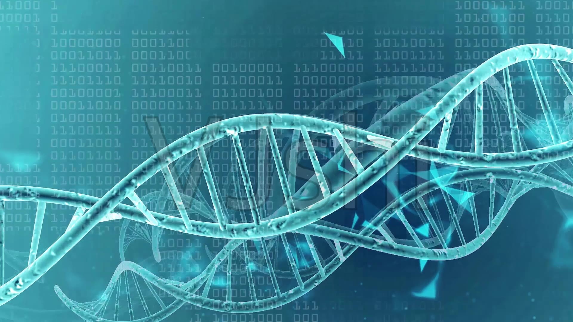 基因醫(yī)藥生物科技科學(xué)_1920X1080_高清視頻素材下載(編號:3431249)_實(shí)拍視頻