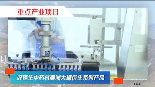 第20集 項目建設