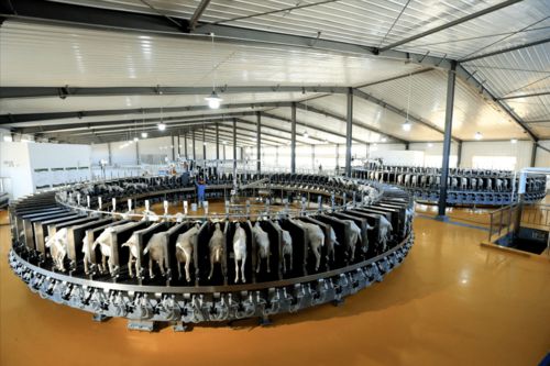 和林格爾縣 黨建引領 多元驅動 打好產(chǎn)業(yè)發(fā)展 組合拳